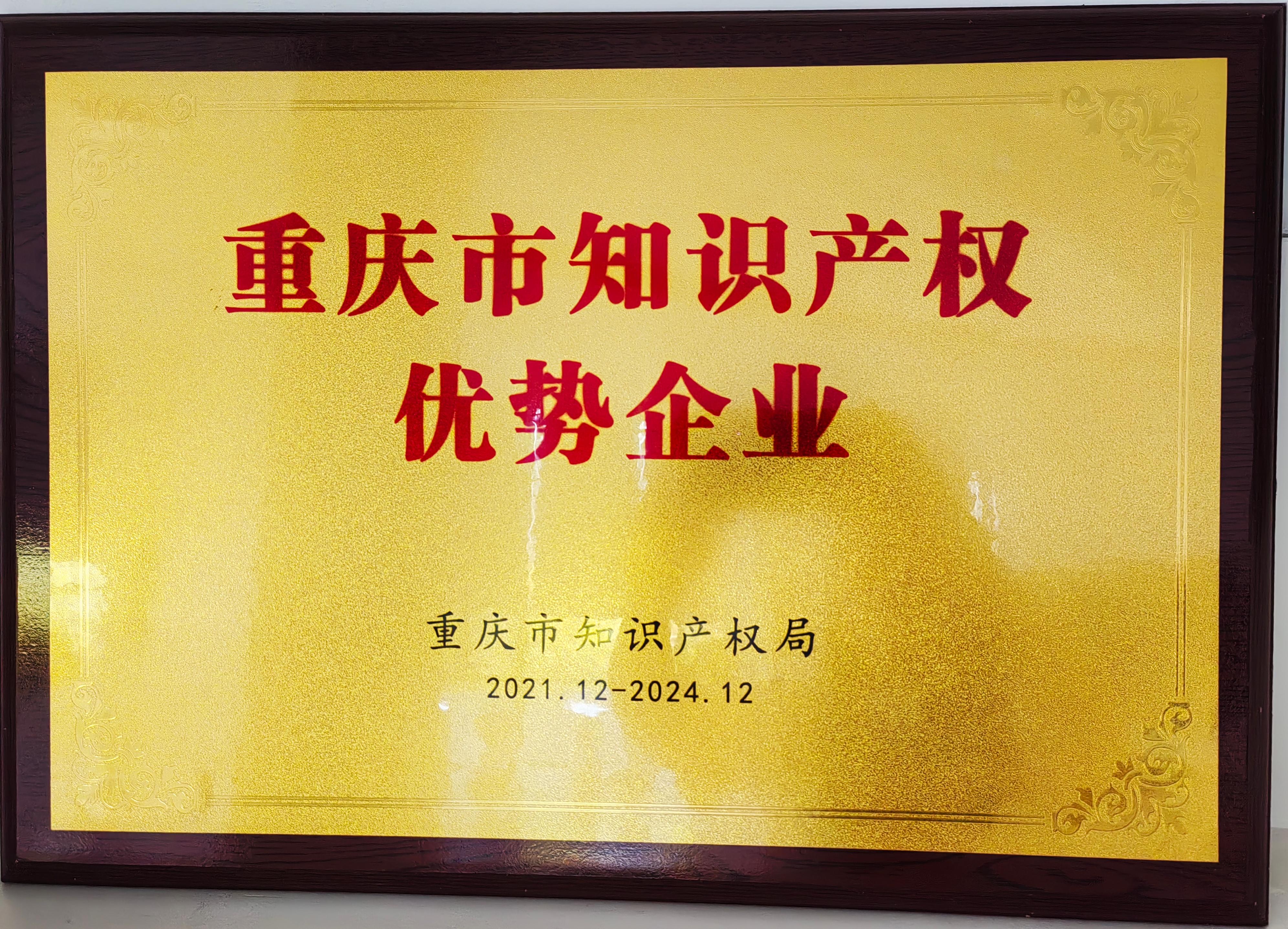 重慶市知識(shí)產(chǎn)權(quán)優(yōu)勢企業(yè)